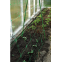 Сетка шпалерная для вьющихся растений PLANT NET 1,7х100 м