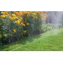 Шланг перфорированный SPRITZ HOSE 15 м