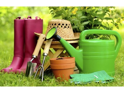 Лейки садовые: рекомендации по выбору
